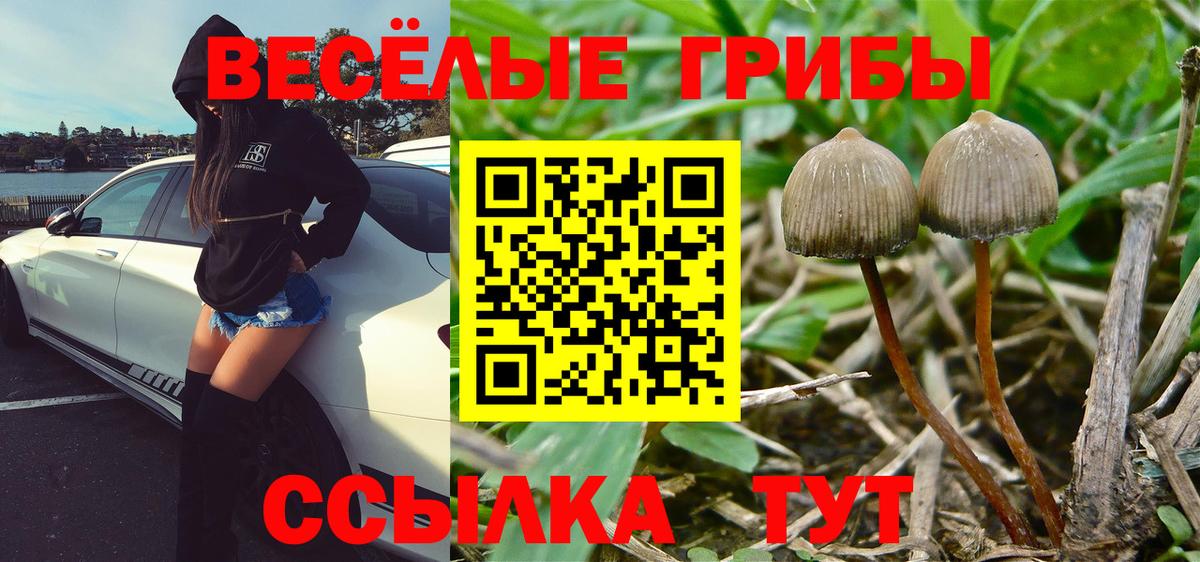 Галлюциногенные грибы Cubensis  Вход с VPN  Псилоцибиновые грибы Cubensis  Красный Сулин 