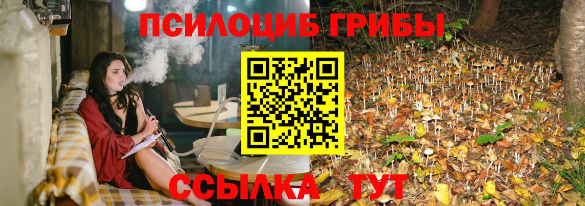 Псилоцибиновые грибы мухоморы Красный Сулин
